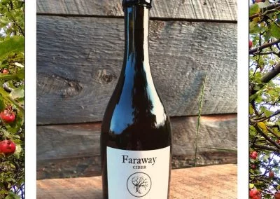 Faraway Cider Bottle